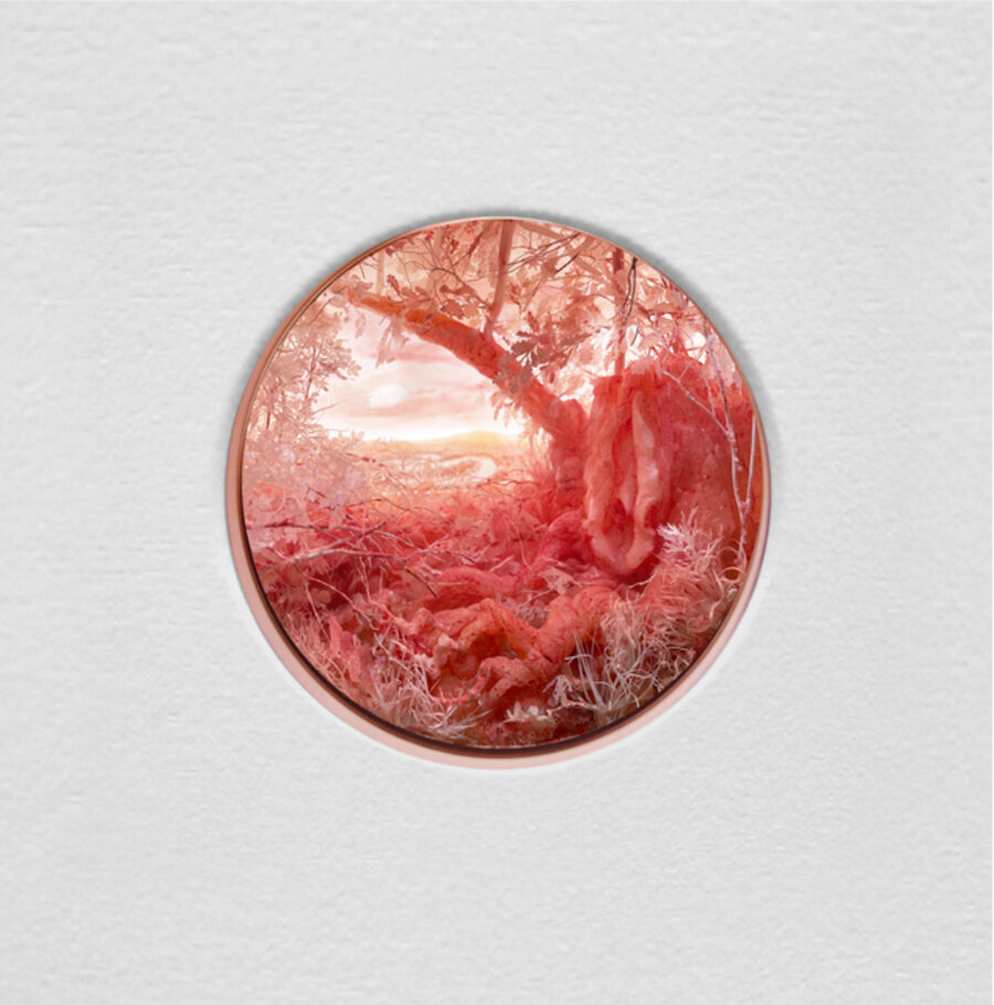 Stump with Vulva & Full Moon