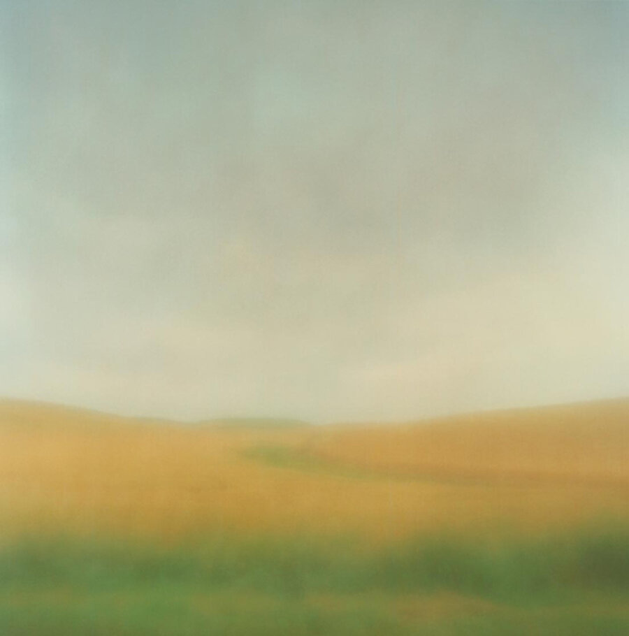 Field in Rain, Whitman County