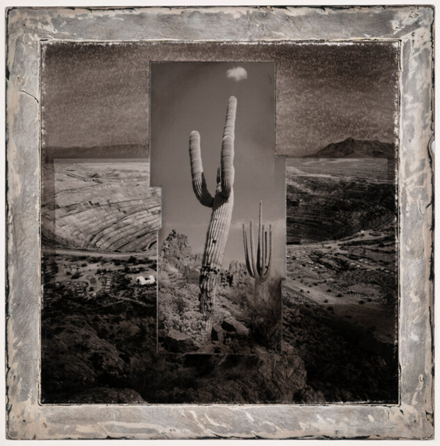 Inferno Saguaros #17