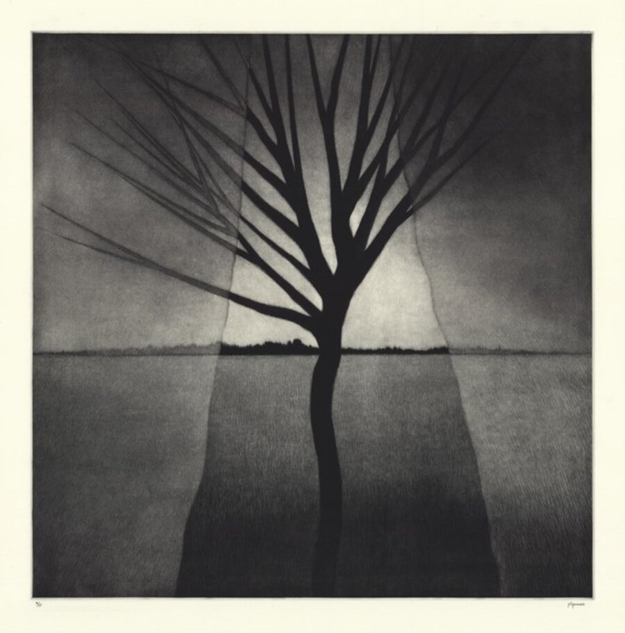 Landscape w/curtains & crooked tree.