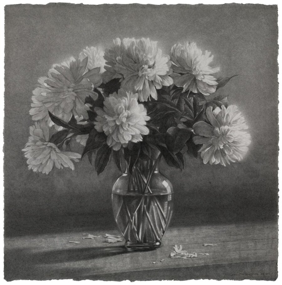 Peonies (Elegy for a Dog)