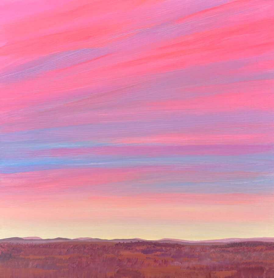 West Texas Study 3