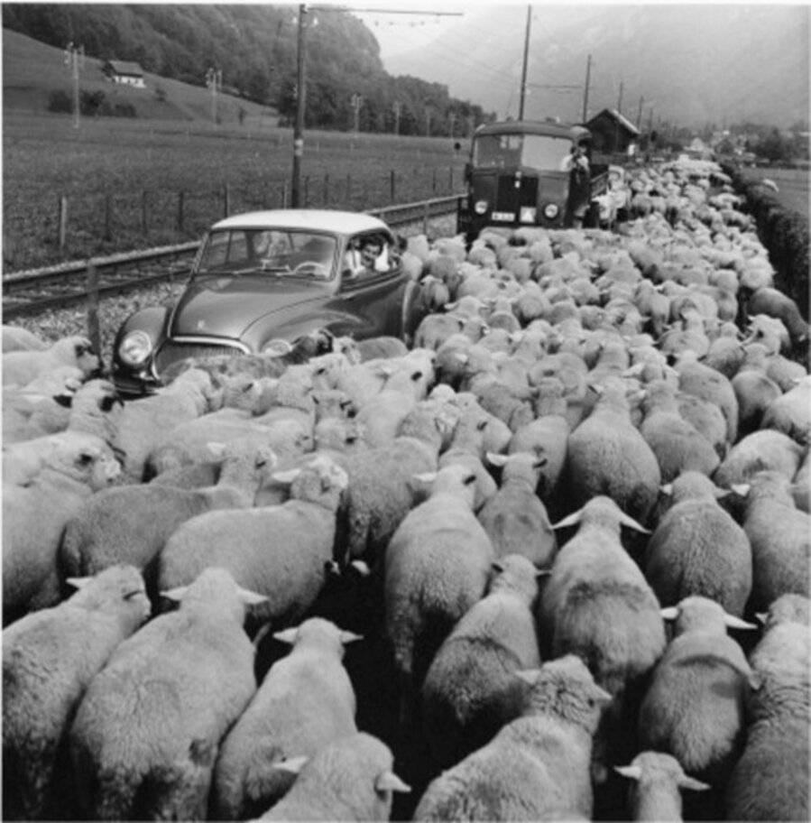 Wolfenschiessen, 1959