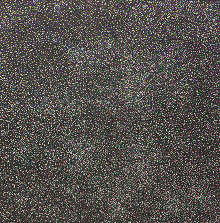 Mouse Droppings No. 6 老鼠屎 No. 6