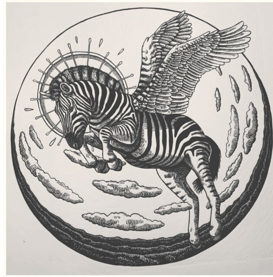 African pegasus