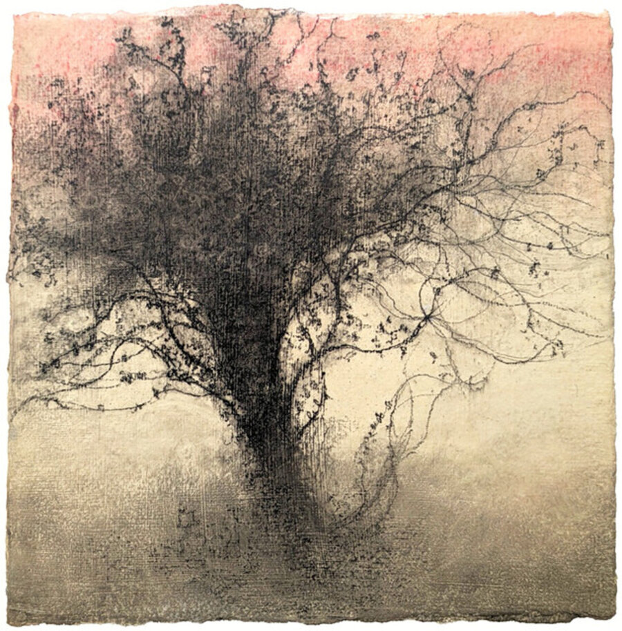 Wisp