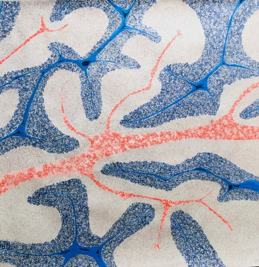 Thought 1 - Cerebellum
