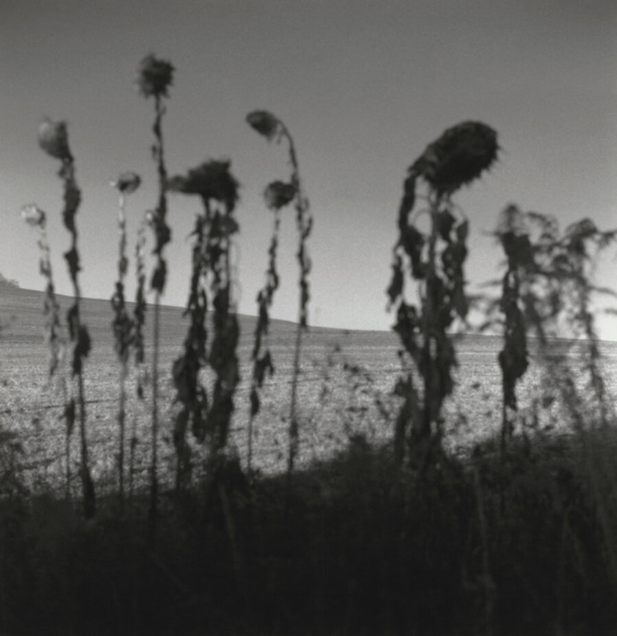 Sommerset, Pennsylvania; USA, 1994