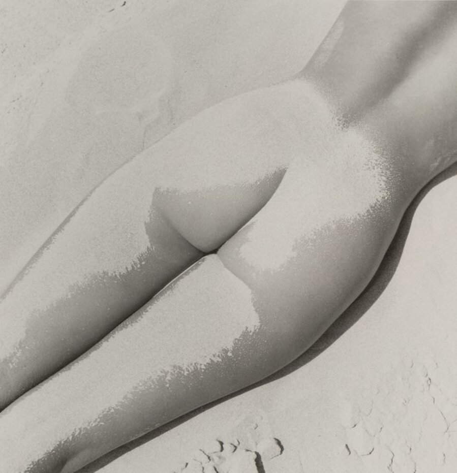Nu Sable