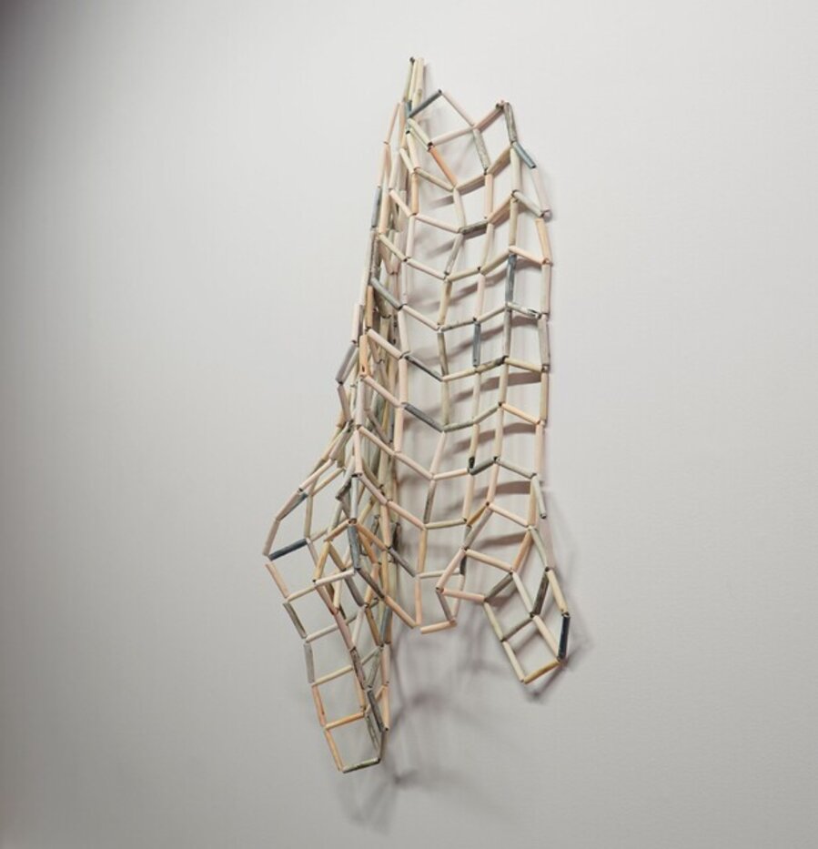 Untitled (net study)