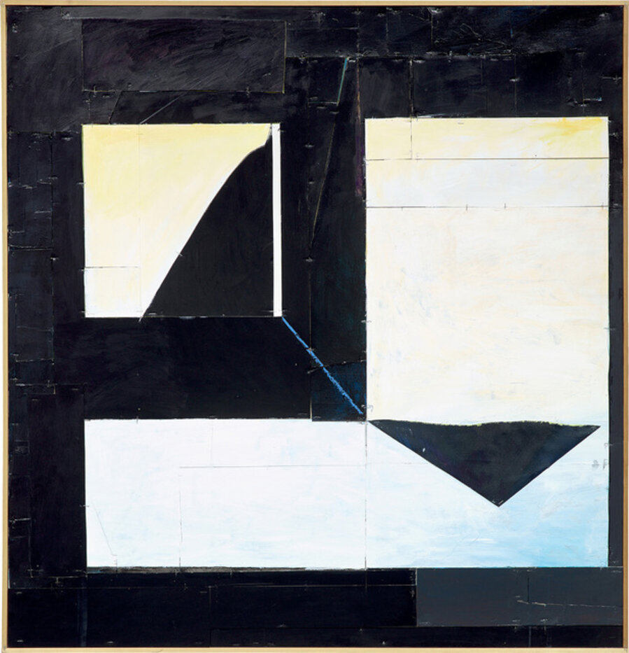 Untitled(Immunity)7