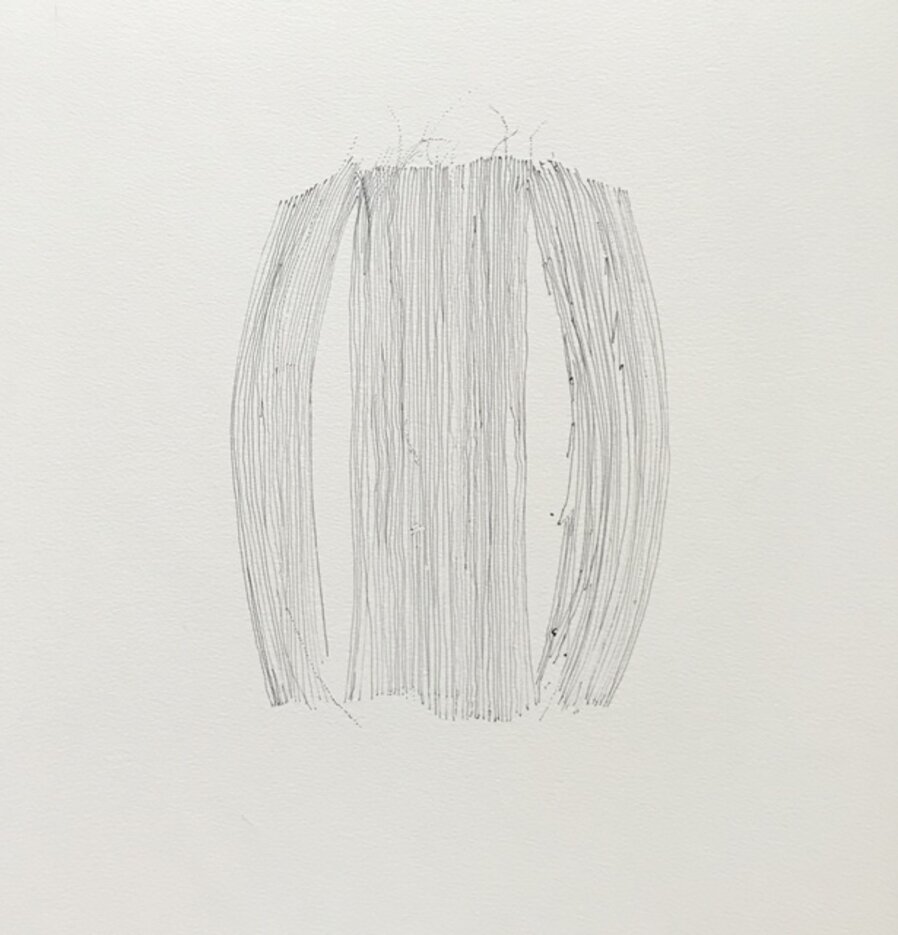 Study