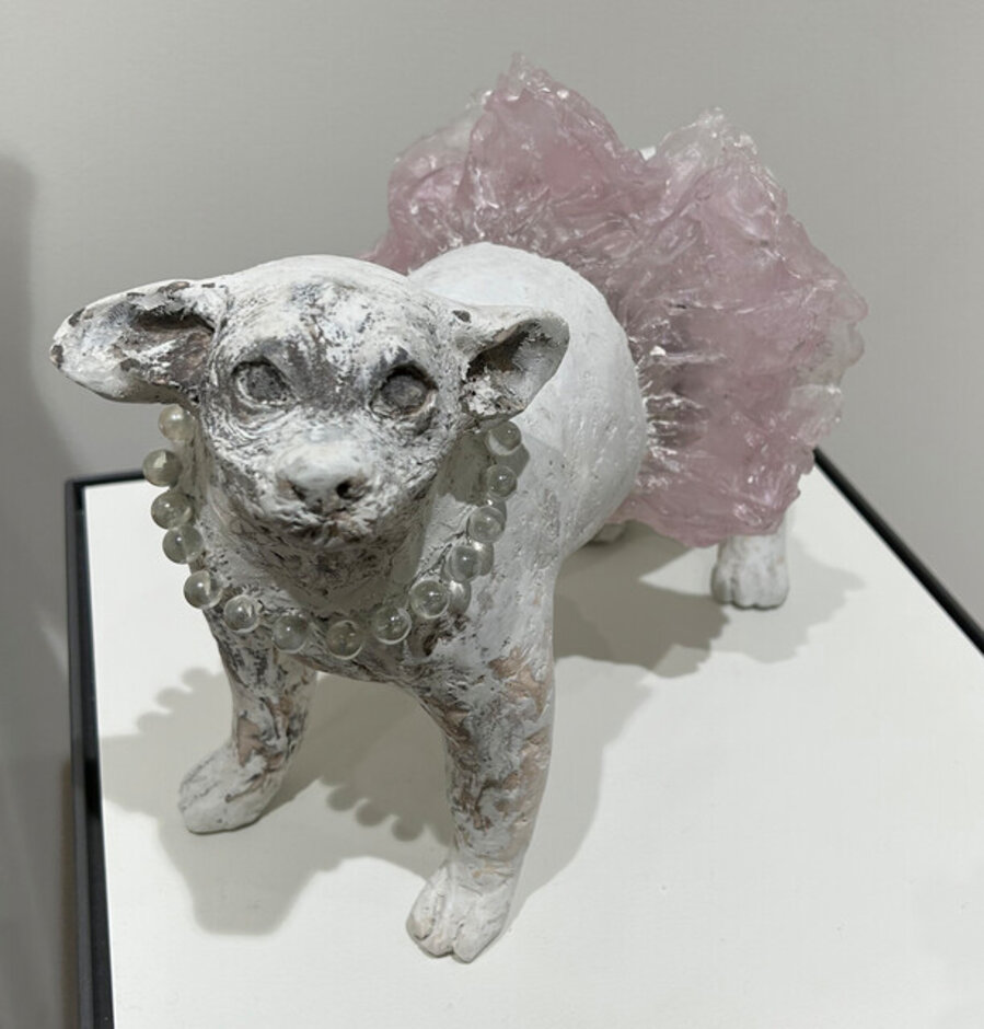 Chihuahua