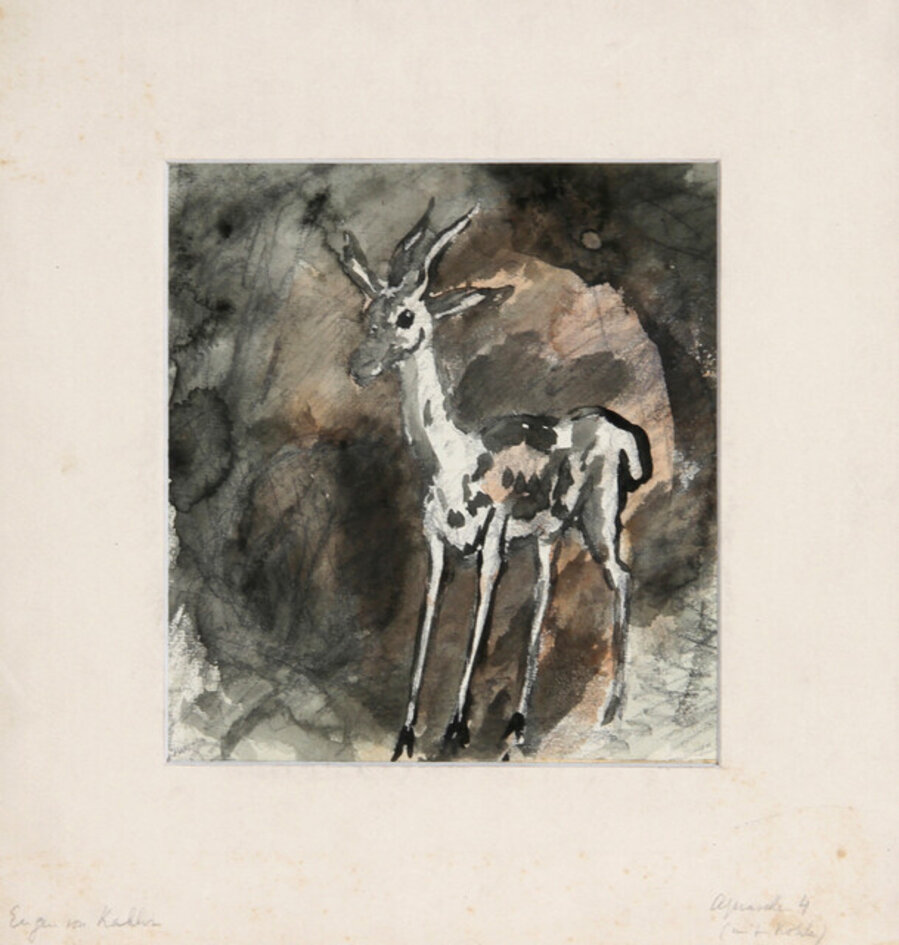 Deer