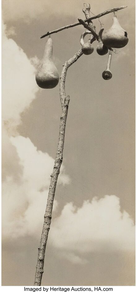 Walker Evans, ‘Gourd-nests for the Martins, Hale County, Alabama’, 1936
