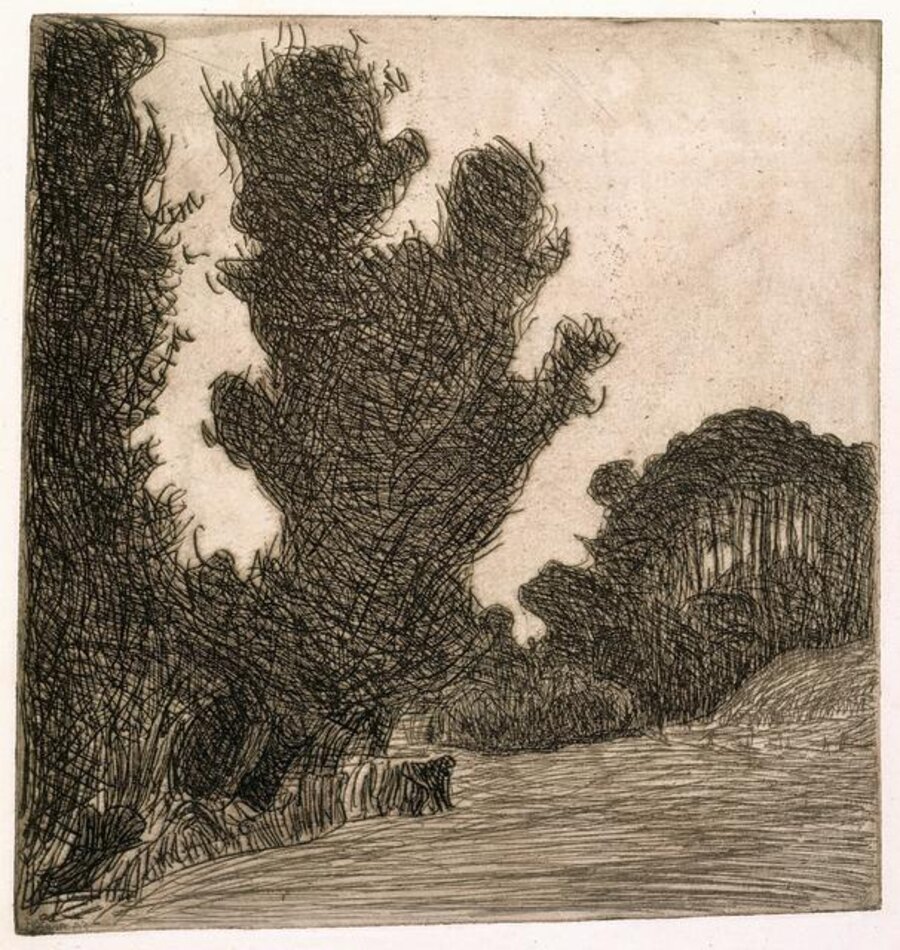 Les Grands Arbres (the Large Trees)