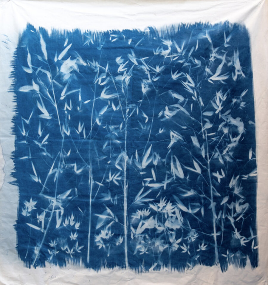Blu Forest # 2