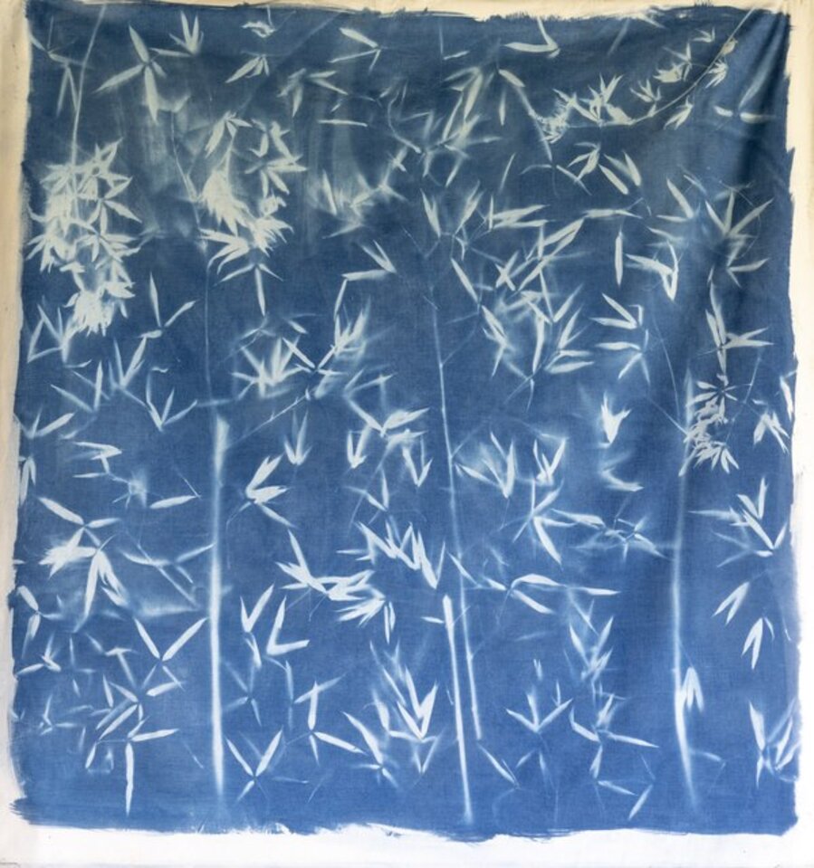 Blu Forest # 2