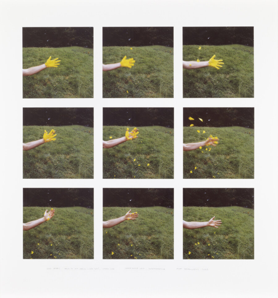 Iris Petals / Held to My Hand / With Spit / Shook Off / Slate House Loch / Dumfriesshire