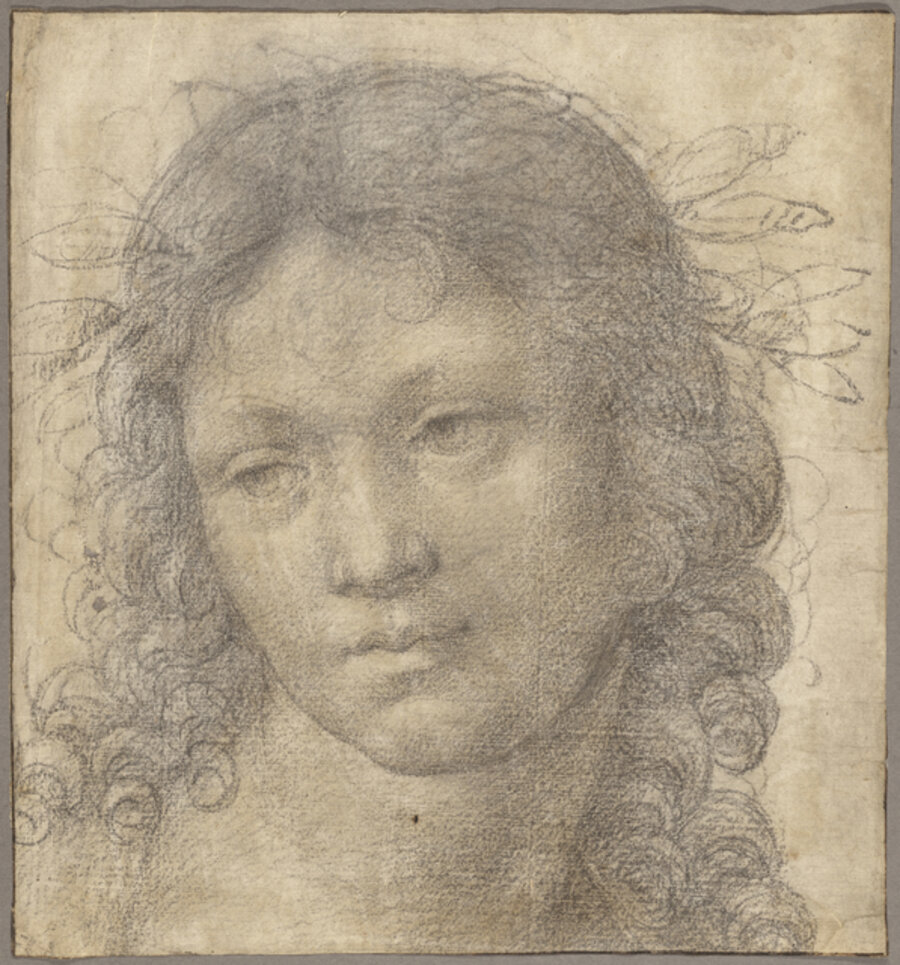 he Head of a Young Boy Crowned with Laurel