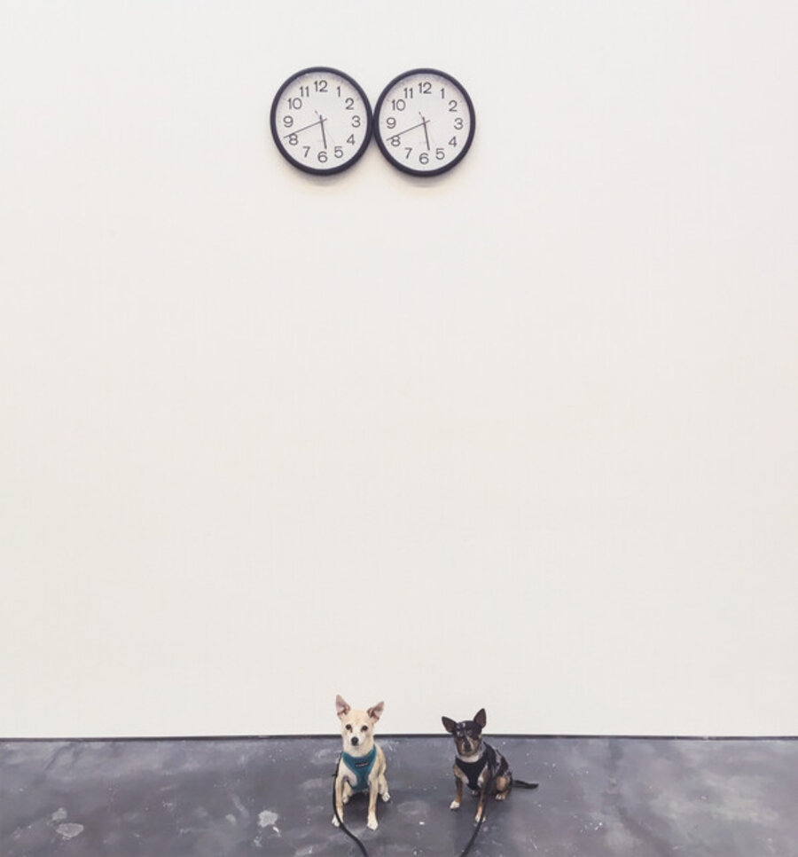 “Untitled” (Perfect Lovers/Perfect Brothers)