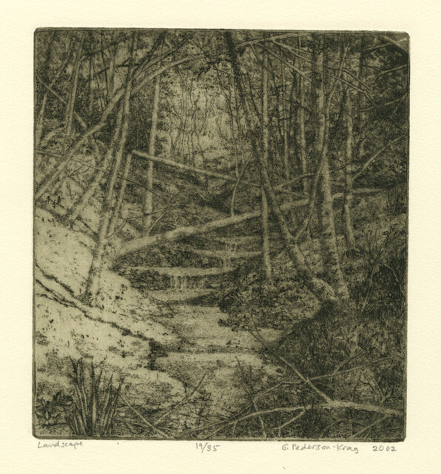 Little Fallen Tree, #37B