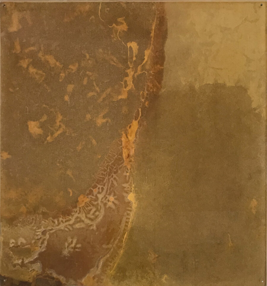 Paintings That Change in Time: Emerging Persimmon