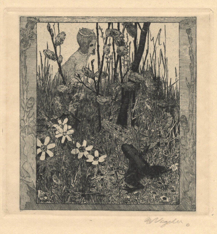 Froschbraut. (Frog bride.)