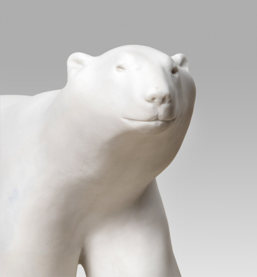White bear