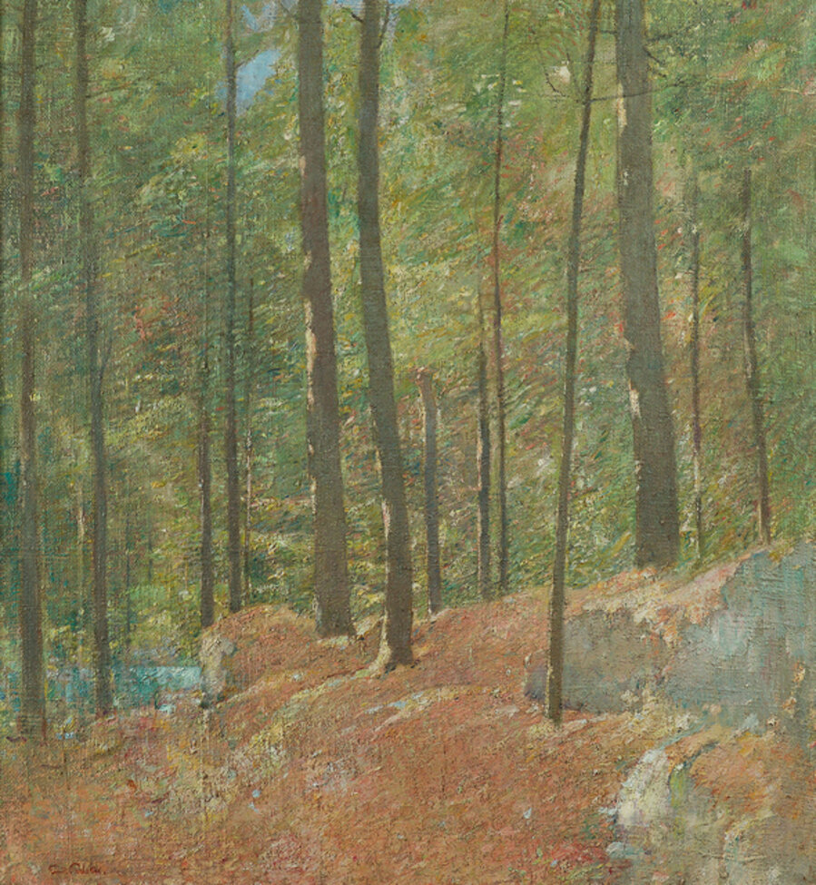 Pine Woods