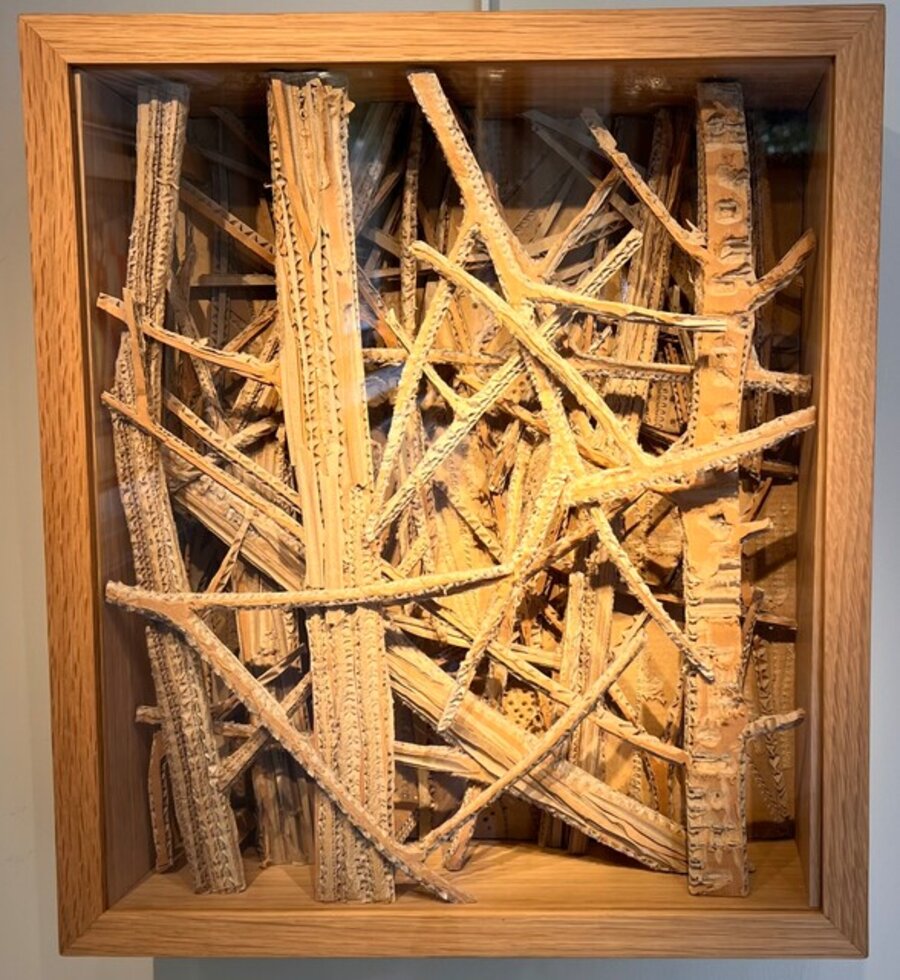 Petite Forêt 20