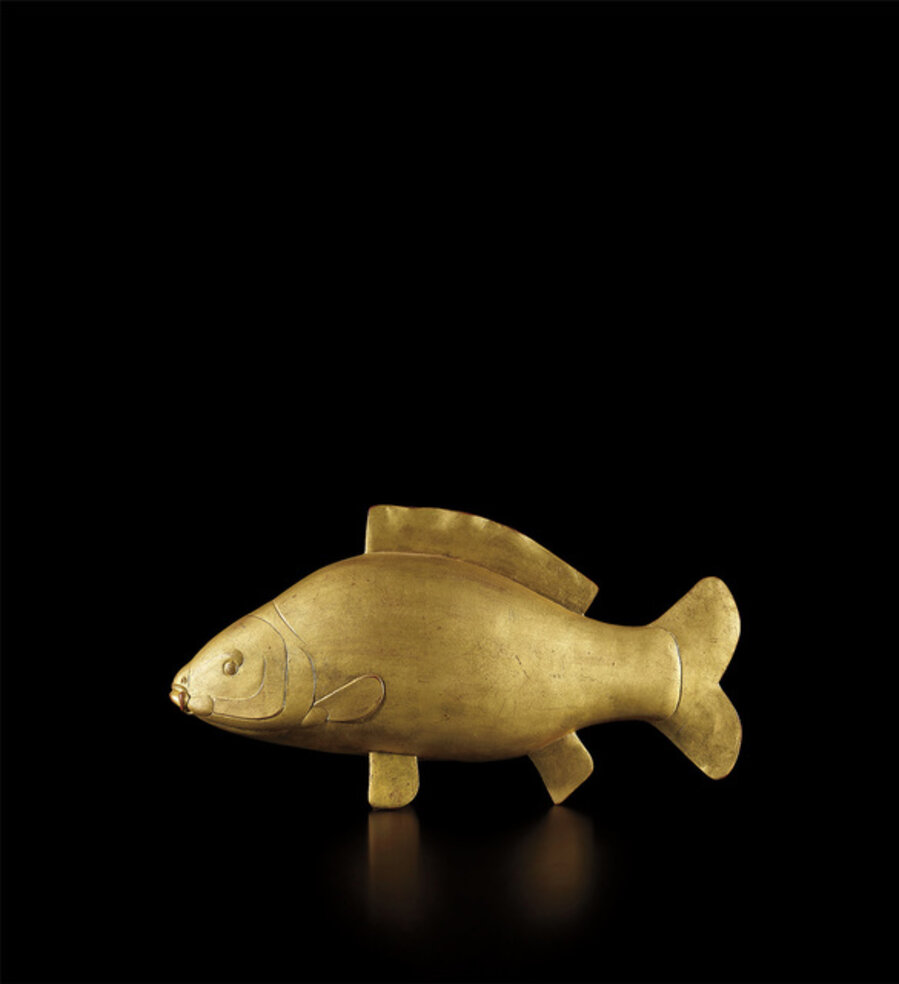 La carpe d’or