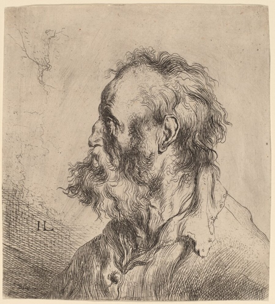 Bust of a Bearded Old Man