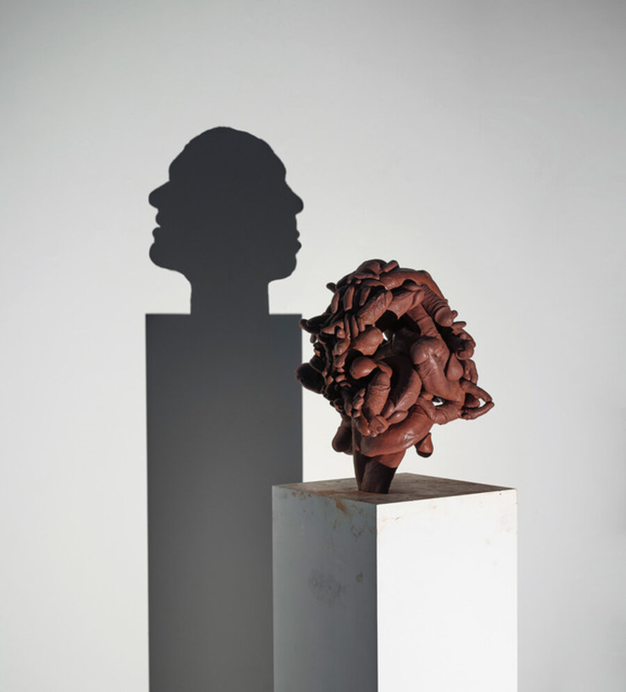 Chocolate narcissus