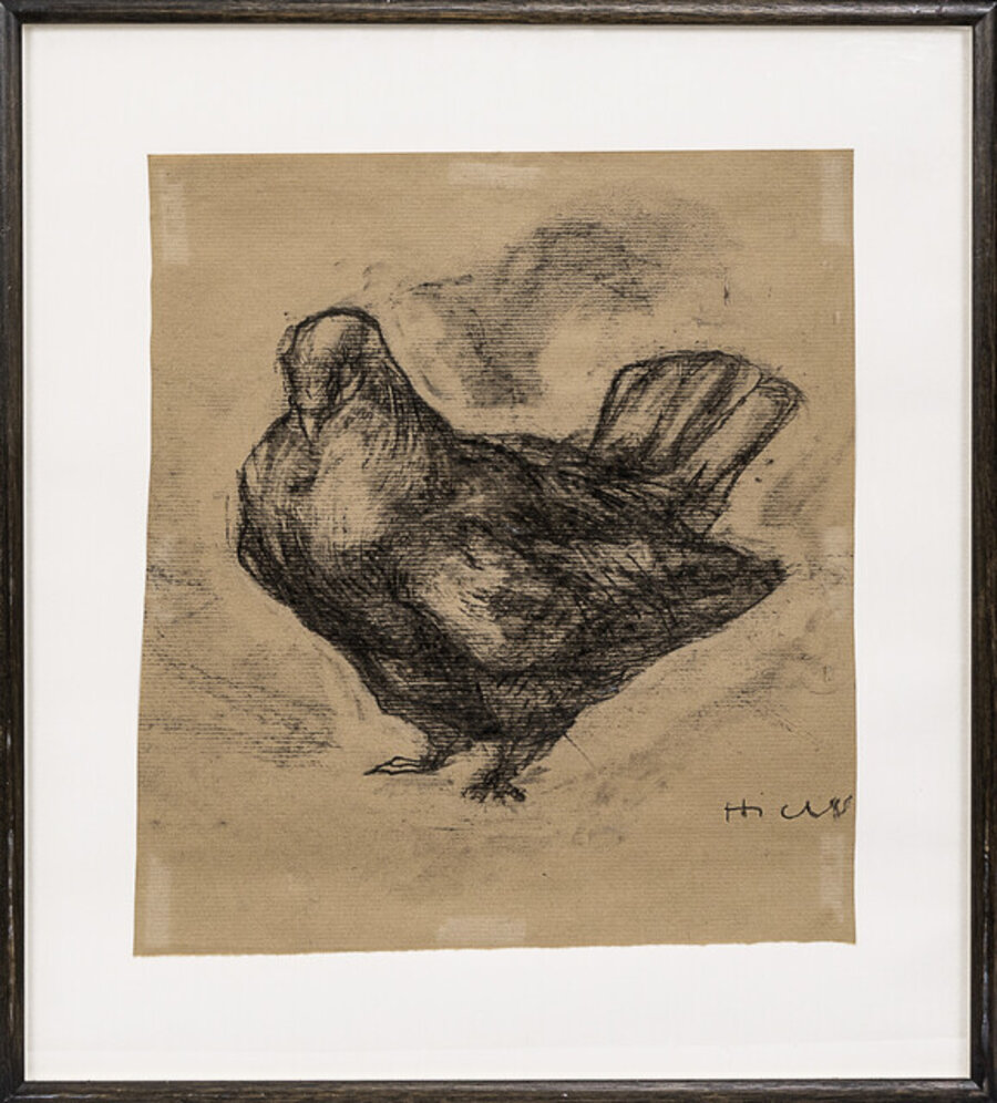 Pigeon III