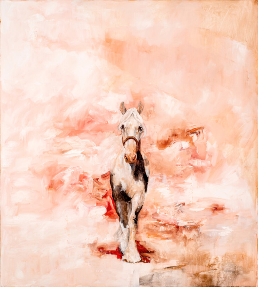 150 Portraits: Migration