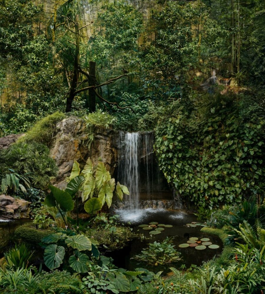 My Paradise Lost