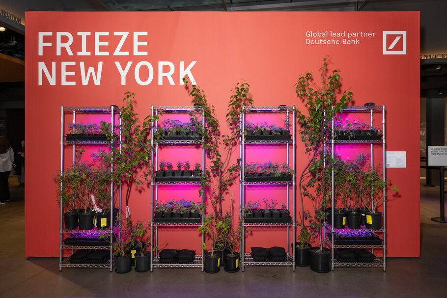 What Sold at Frieze New York 2025 What Sold at Frieze New York 2025