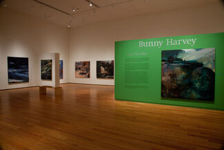 Bunny Harvey: Four Decades, installation view
