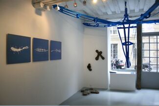 Blue genetic, installation view