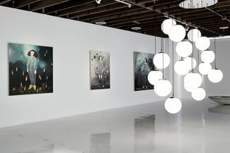 Beauty the Brave, installation view