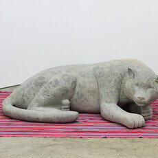 Snow Leopard