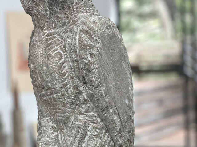 Linen Hawk Owl