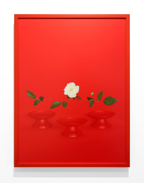 Red Bowls from the series Simple Text