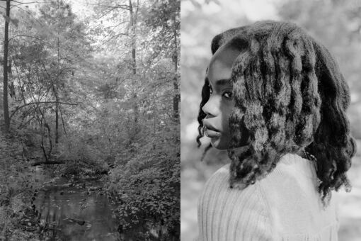 Donavon Smallwood’s Dreamy Photographs Reexamine Black Leisure in Central Park