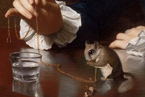 I’m Obsessed with the Pet Squirrel in This John Singleton Copley Portrait