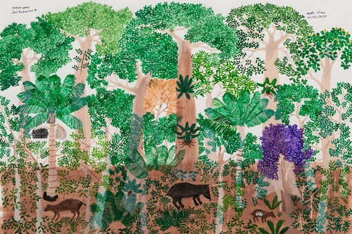 Abel Rodríguez Recreates the Rainforests He Used to Call Home