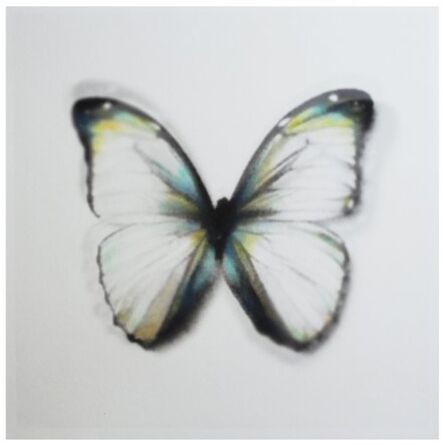 Stefania Ricci, ‘Butterfly brux 02’, 2016