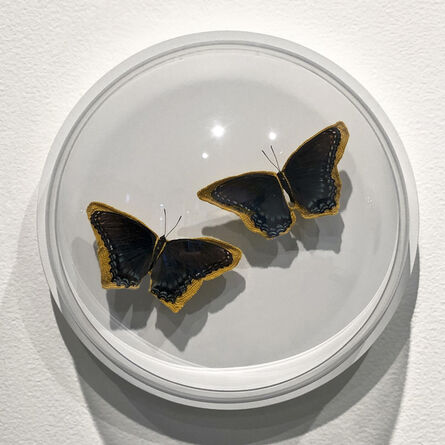 Esther Traugot, ‘black and blue pair of butterflies’, 2019