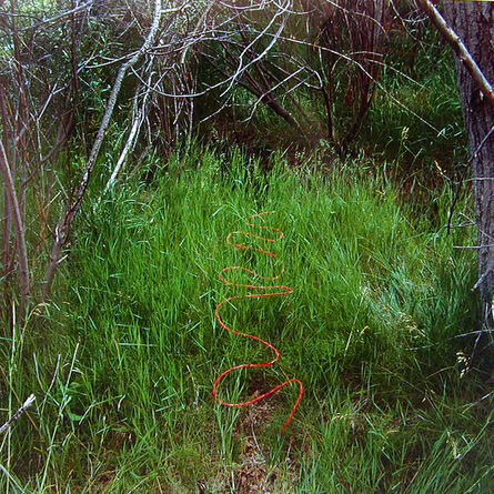 Andy Goldsworthy, ‘Red flowers threaded on to rushes laid in grass, calm, raining, overcast, sun coming out after I finished, Santa Fe, New Mexico, 15 July 1999’, 1999